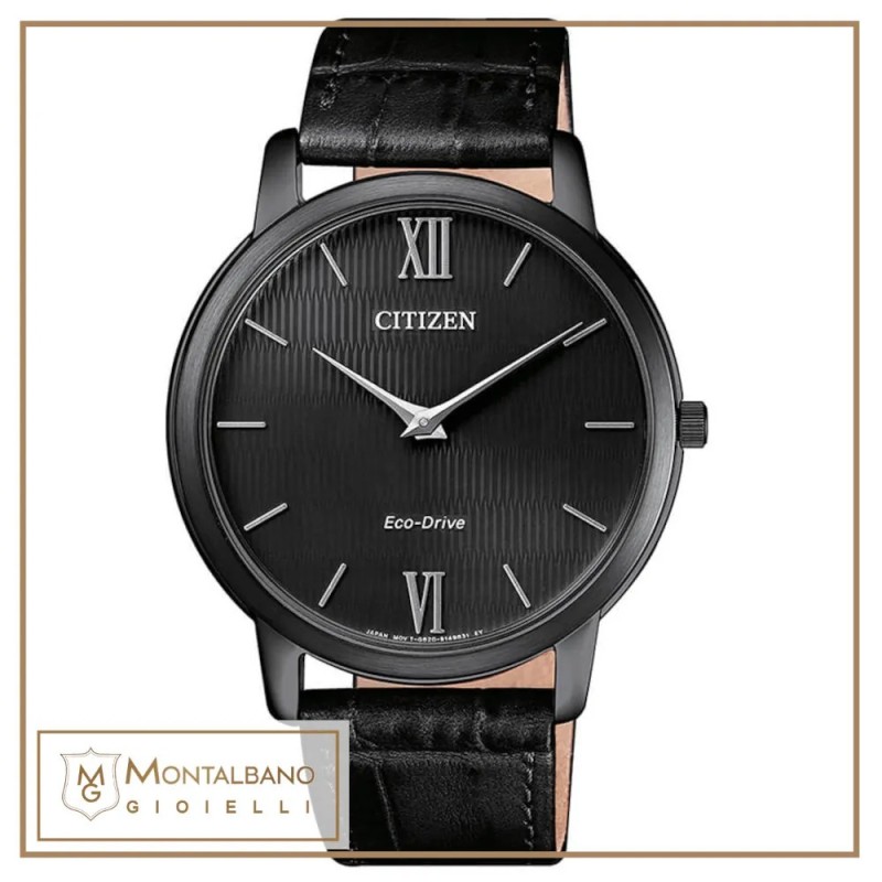 Orologio Citizen Eco Drive AR1135-36E